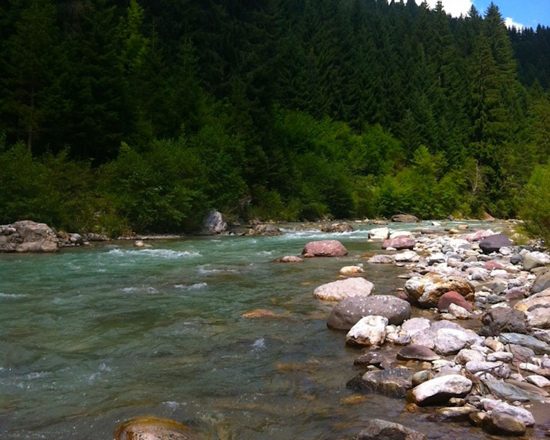 Fiume piave nel Cadore